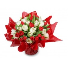 Raissa - red and white tulip (Small 21 psc)